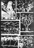 portada1
