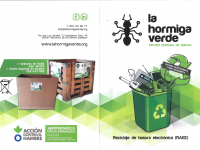 hormiga verde