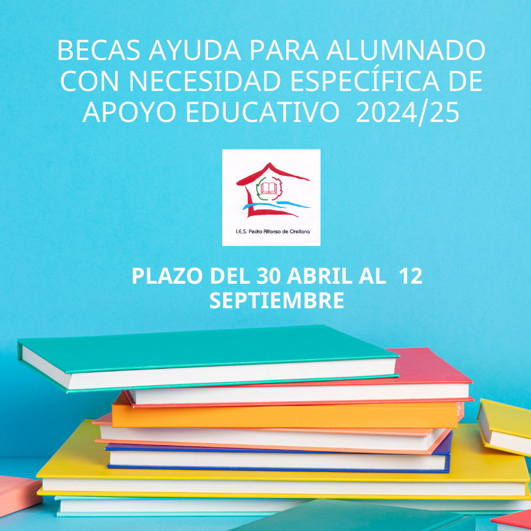 BECAS NEE
